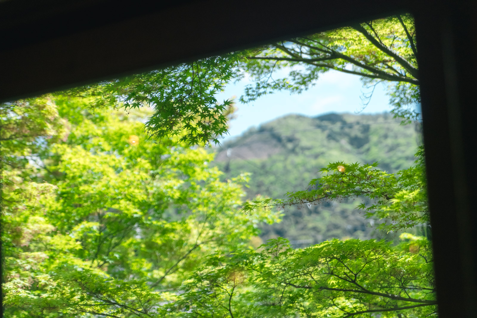 吉田山荘カフェ真古館と宗忠神社─歴史と自然に抱かれるひととき
